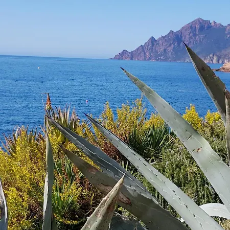 Apartamento Avenue Des Cretes Des Iles Samos 3 Ajaccio (Corsica)